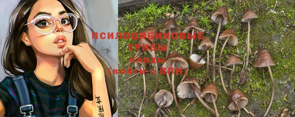 прущая мука Зерноград